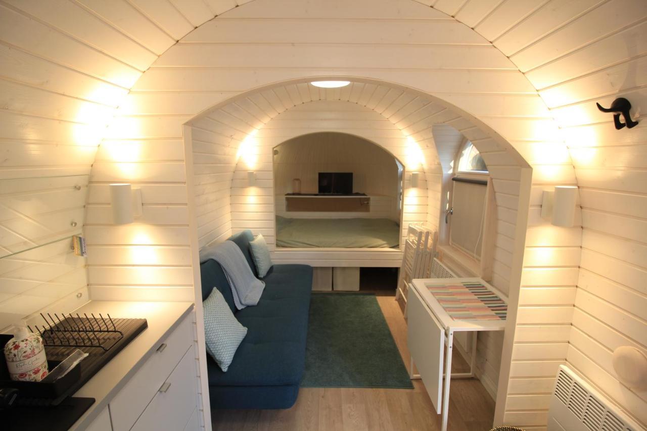 Kuldallika Igloo House And Iglusauna Holiday home *